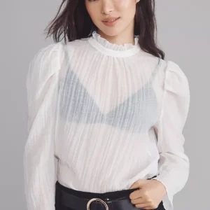 Blusa transparente de cuello alto y manga larga